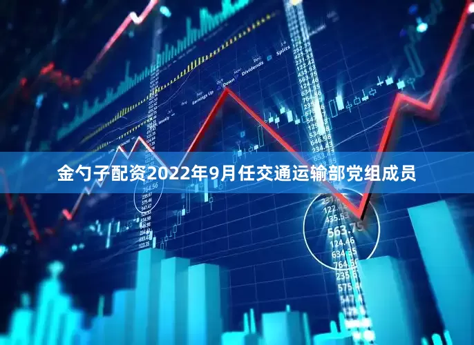 金勺子配资2022年9月任交通运输部党组成员