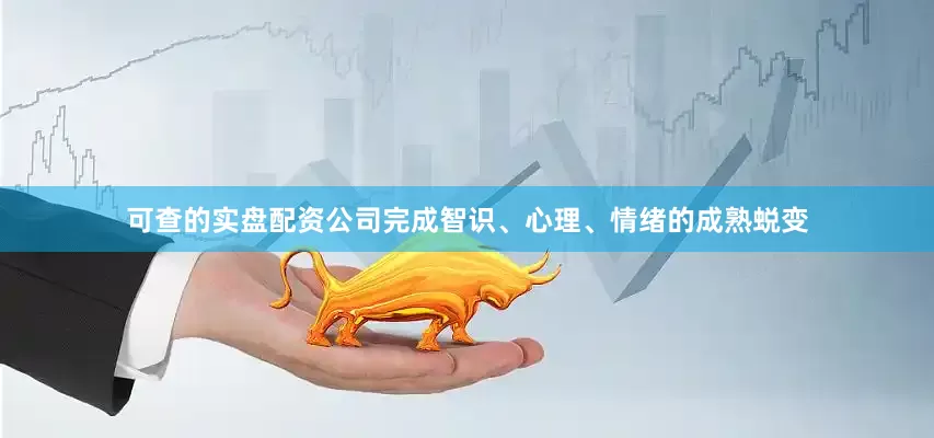 可查的实盘配资公司完成智识、心理、情绪的成熟蜕变