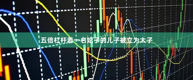 五倍杠杆若一名妃子的儿子被立为太子