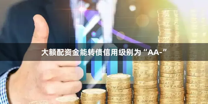 大额配资金能转债信用级别为“AA-”