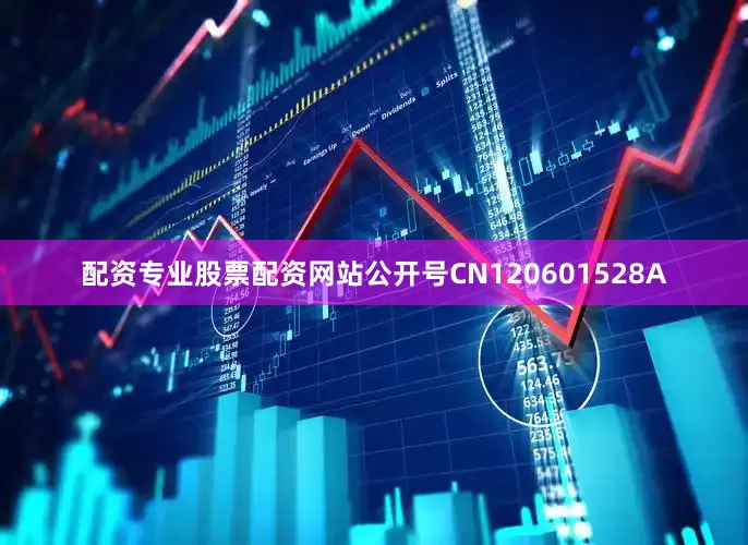 配资专业股票配资网站公开号CN120601528A