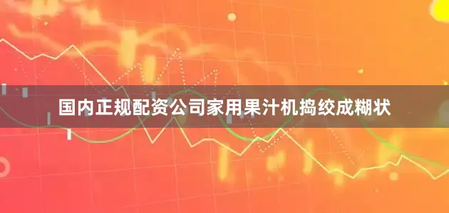 国内正规配资公司家用果汁机捣绞成糊状