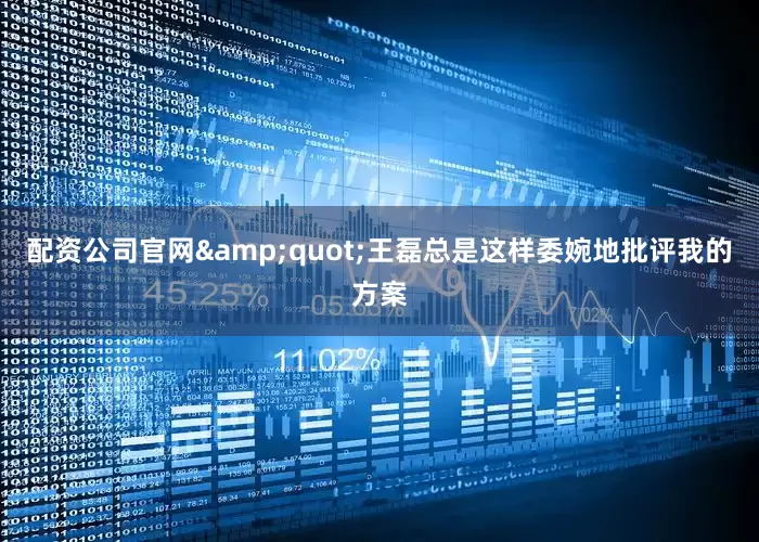 配资公司官网&quot;王磊总是这样委婉地批评我的方案